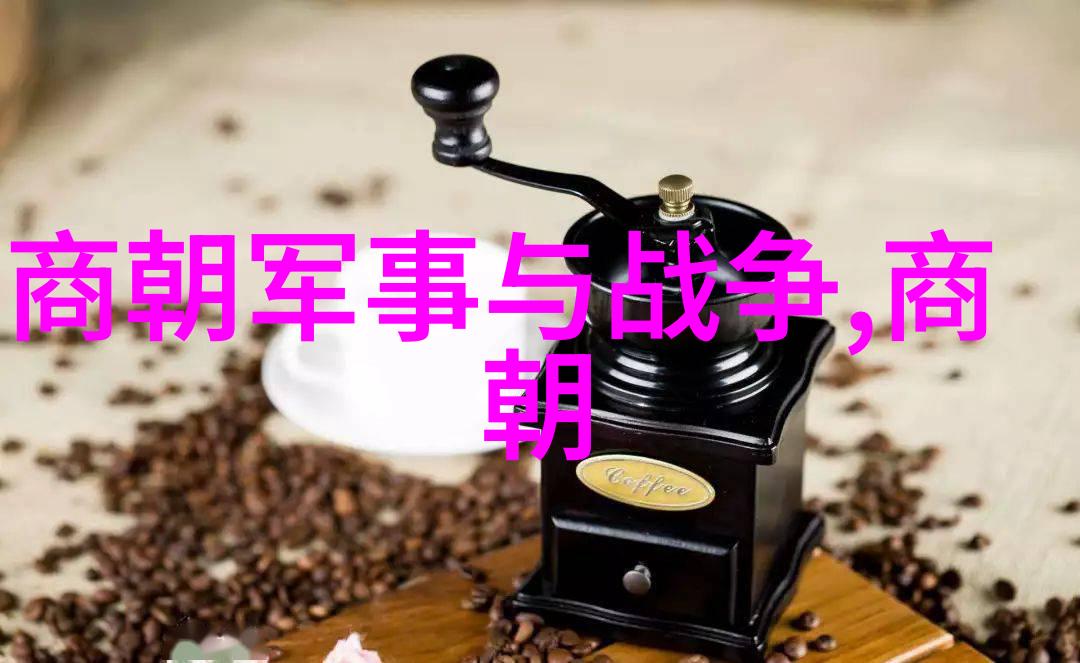 大清朝顺序帝王之路与朝纲的编织