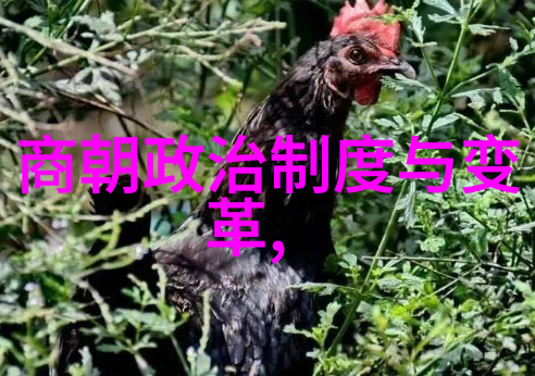 明朝那些事儿7本与9本差异探究明朝历史版本比较