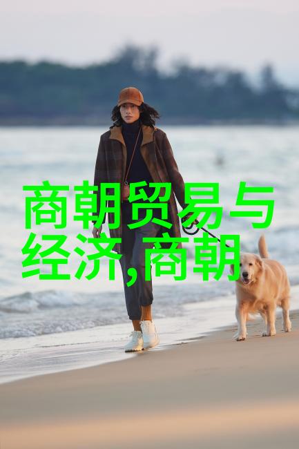 追溯明朝辉煌如何观看历史视频