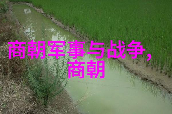 远古之光诸神的誓言与世界的命运