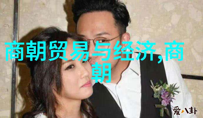 唐朝与隋朝的对比考量历史辉煌与文化成就