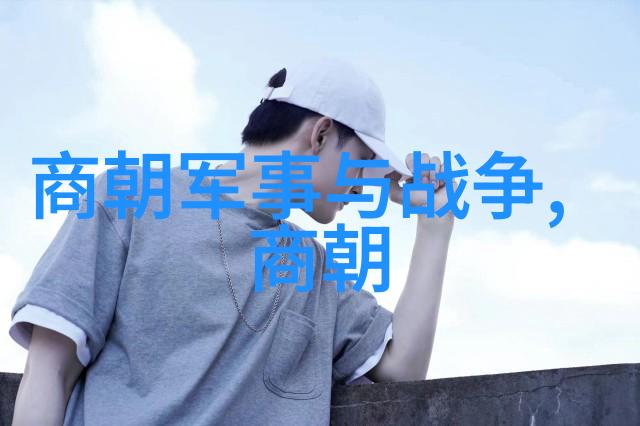 宋朝相关历史内容-北宋与南宋两大时期的兴衰与变迁