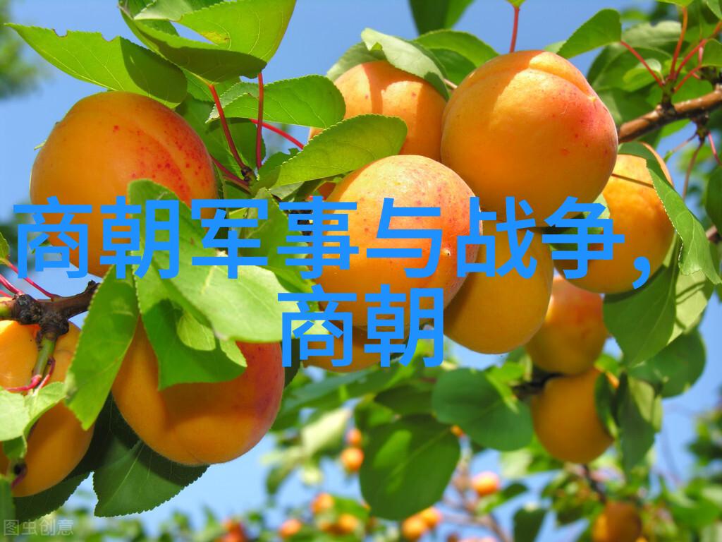 你知道吗元朝有多大探秘古国辽阔