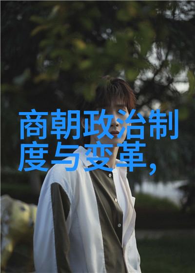 大汉王朝的杨式太极拳正如黄丹英这位武术高手挥洒出的每一次动作宛若春风拂过繁花柔和而不失力量