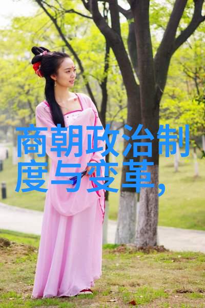 大清朝顺序从康熙到光绪帝王的统治与历史的变迁