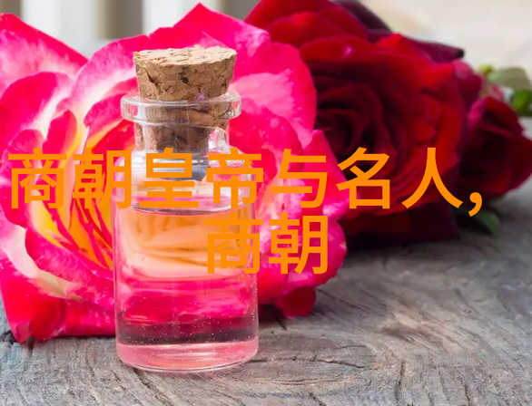 明朝简史-从朱元璋到崇祯明朝的兴衰与变迁