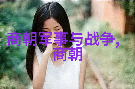 明朝的辉煌帝国之光与沉浮