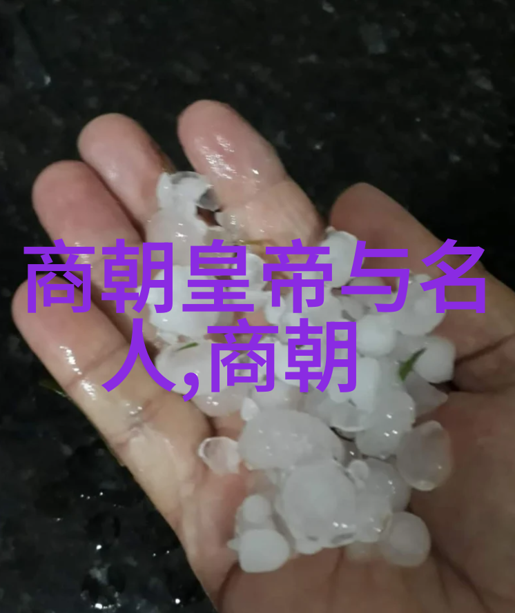 明朝那些事儿 后记-红尘长卷明末余晖与历史的回响