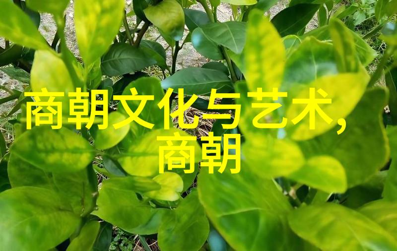 1. 朱瞻基的统治风格是如何影响历史的