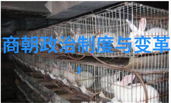 重现历史土木堡之战的电视剧回顾