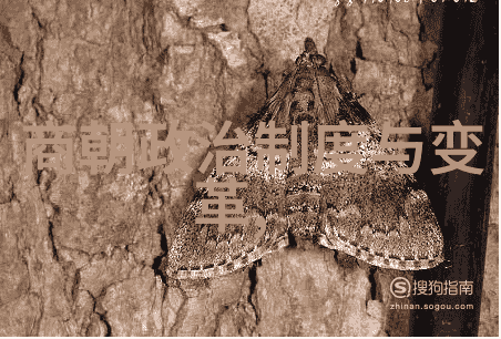 南朝宋文化艺术的繁荣文学绘画雕塑