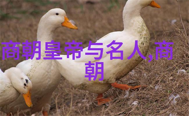 豫剧旦行演员朱巧云河南豫剧的代表作之风华