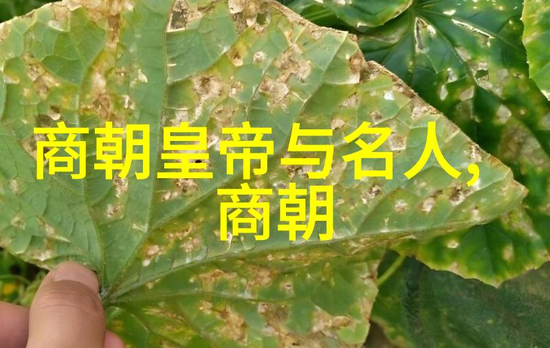 明朝那些事作者是副厅级干部-从文人墨客到红色职官揭秘明朝那些事的真实身份