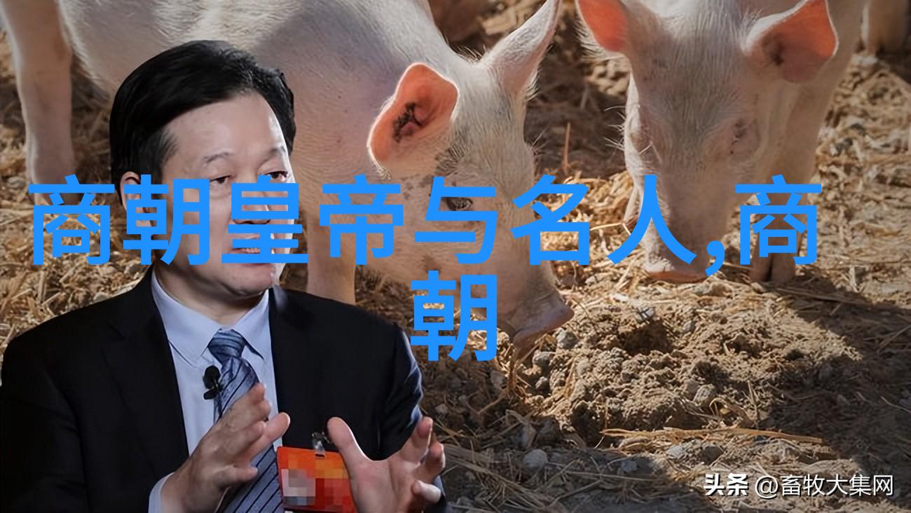 明朝那些事背后的秘密副厅级干部的历史探索之谜