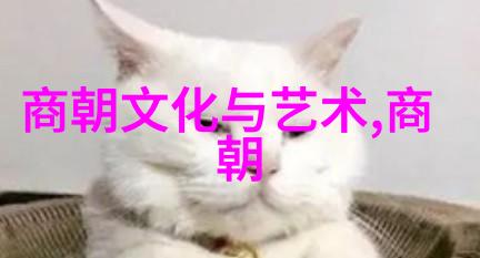 我是你爹老爸的秘密世界揭开我为何总是知道你的每一步