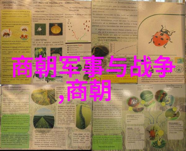 土木堡之战在哪里我去过的那场历史上的大戏追寻土木堡之战的足迹