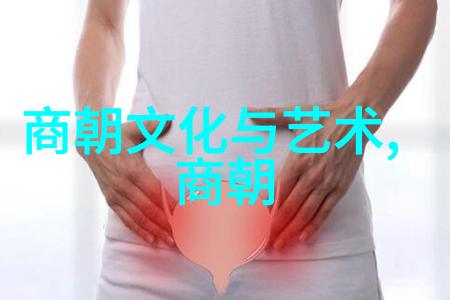 明朝覆灭的余晖南明遗民的最后一搏