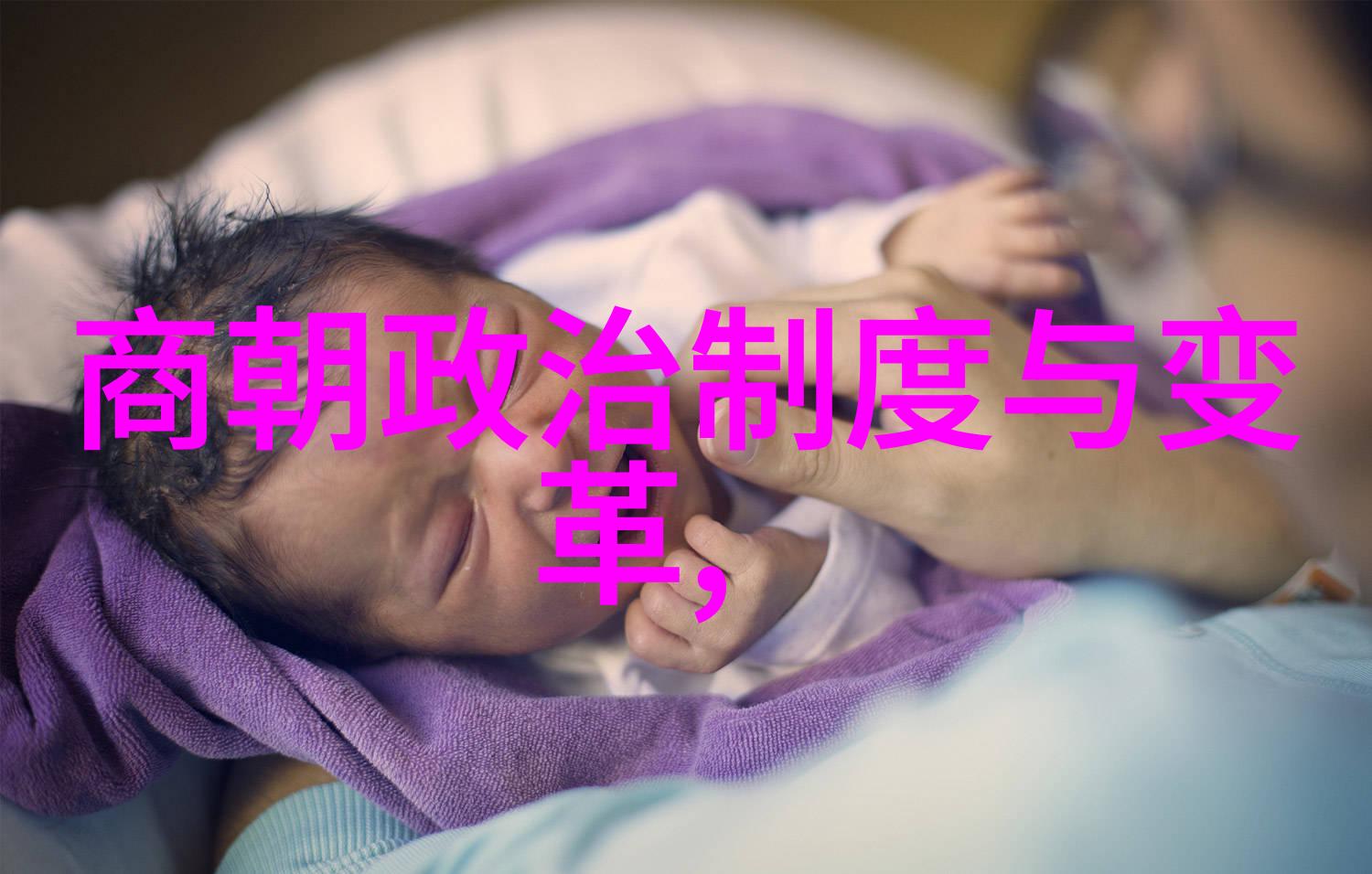 我来讲述明朝列国大观揭秘每个国家的兴衰与互动