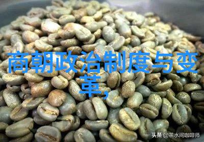 明朝代序及年号考辨追溯历史脉络与时间标记的演变
