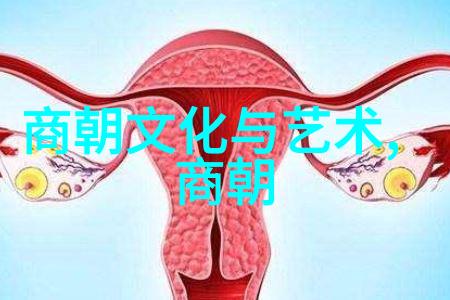 风云变幻中的才子对决刘伯温与李善长谁更为高明