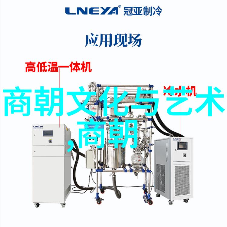朱棣夺位背后的历史考量正确还是错误