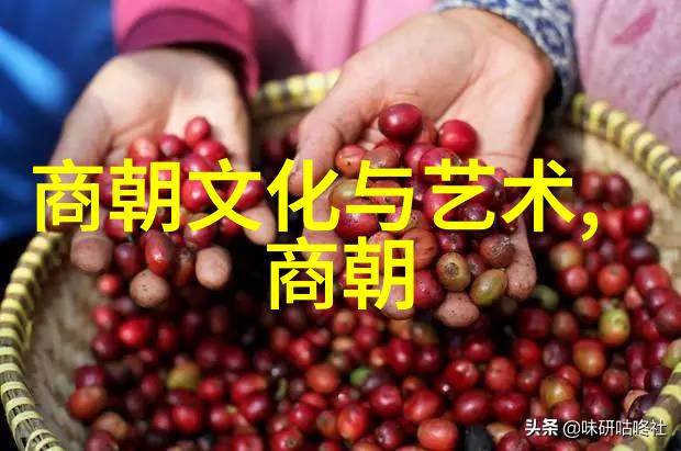 穿越时空的云海明朝那些隐秘故事的探寻