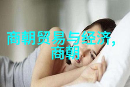 历代王朝的杨式太极拳正如黄丹英这位艺术家的挥洒