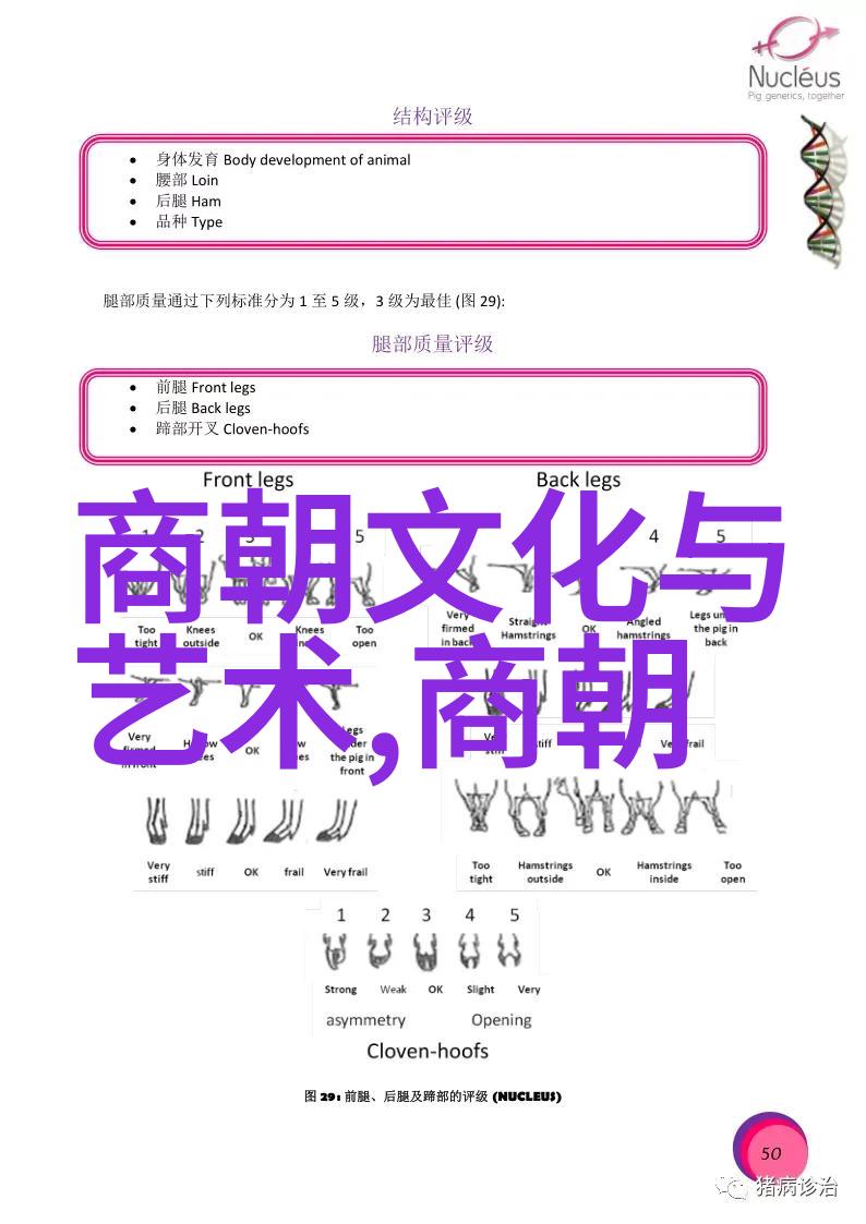 历史长河中的逆袭中国朝代顺序表的奇幻变奏