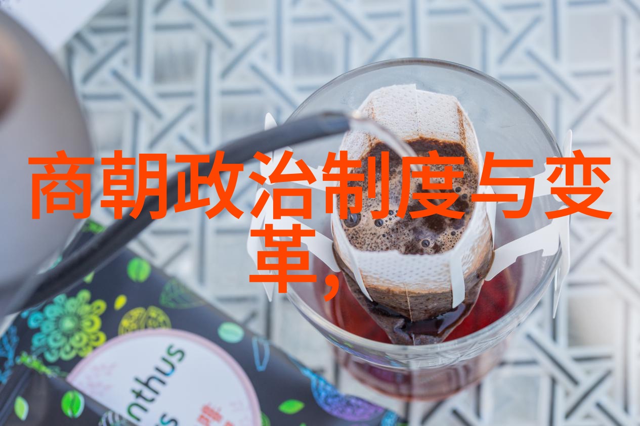 明英宗复辟记一场宫廷政变背后的历史考量
