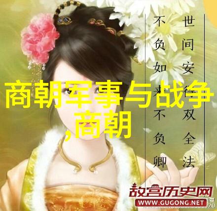 明朝那些事儿明太祖对手中的权力斗争