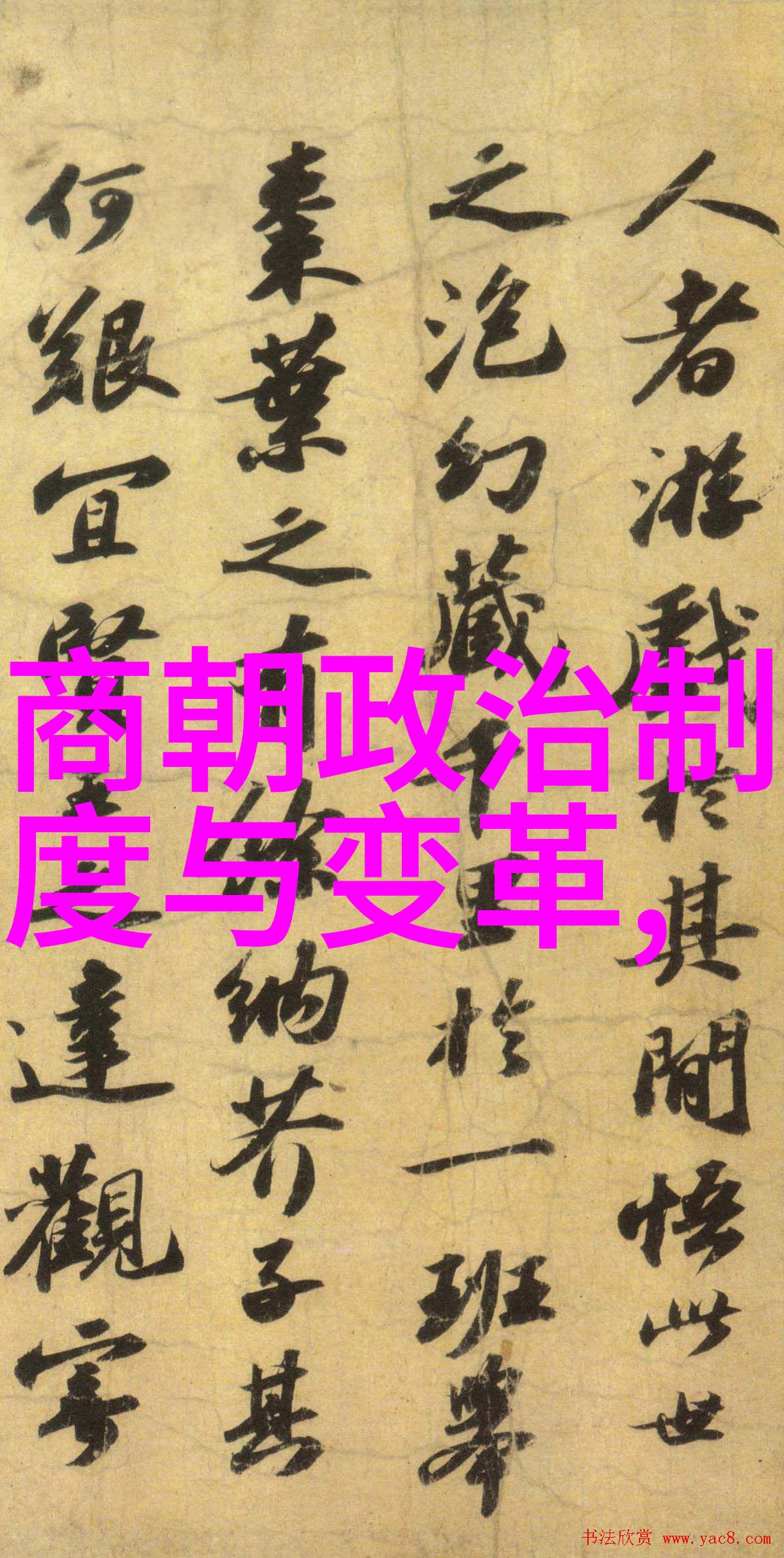 南宋内部问题是其灭亡的重要原因吗