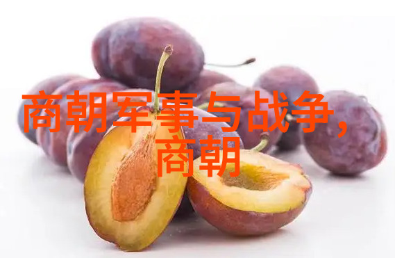 郑学莲世界思想之巅独步十大巨匠