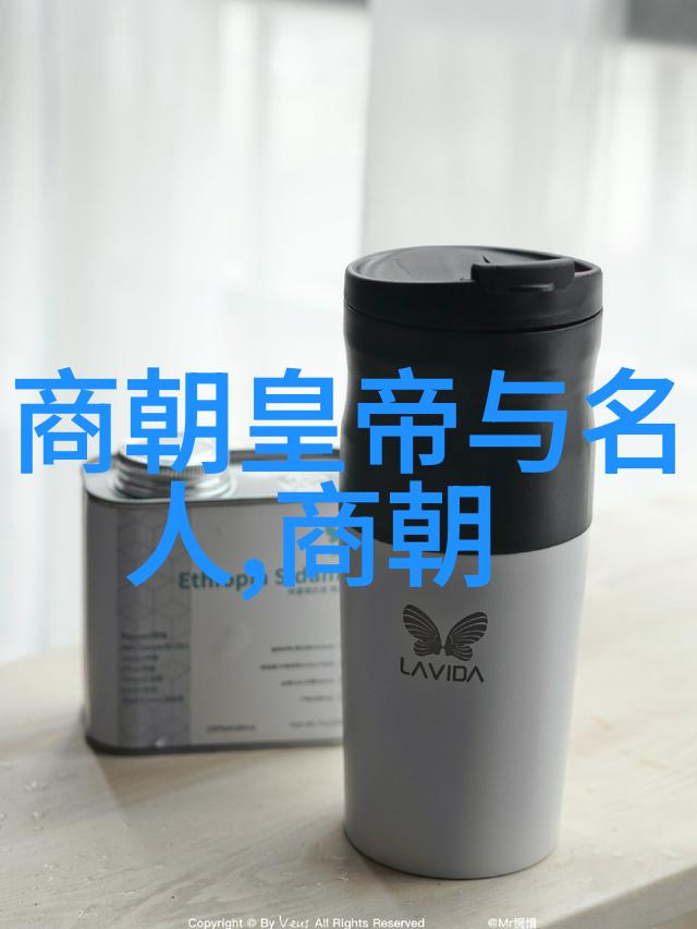 南宋的辉煌帝王与将领的荣耀岁月