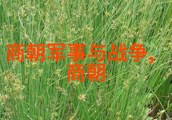 重温第一部诗歌集