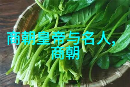 明朝那些事的丰富篇章探索史料与小说中的明代