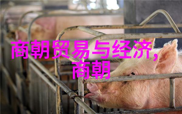 明朝的怪事儿穿越时空的神秘画卷