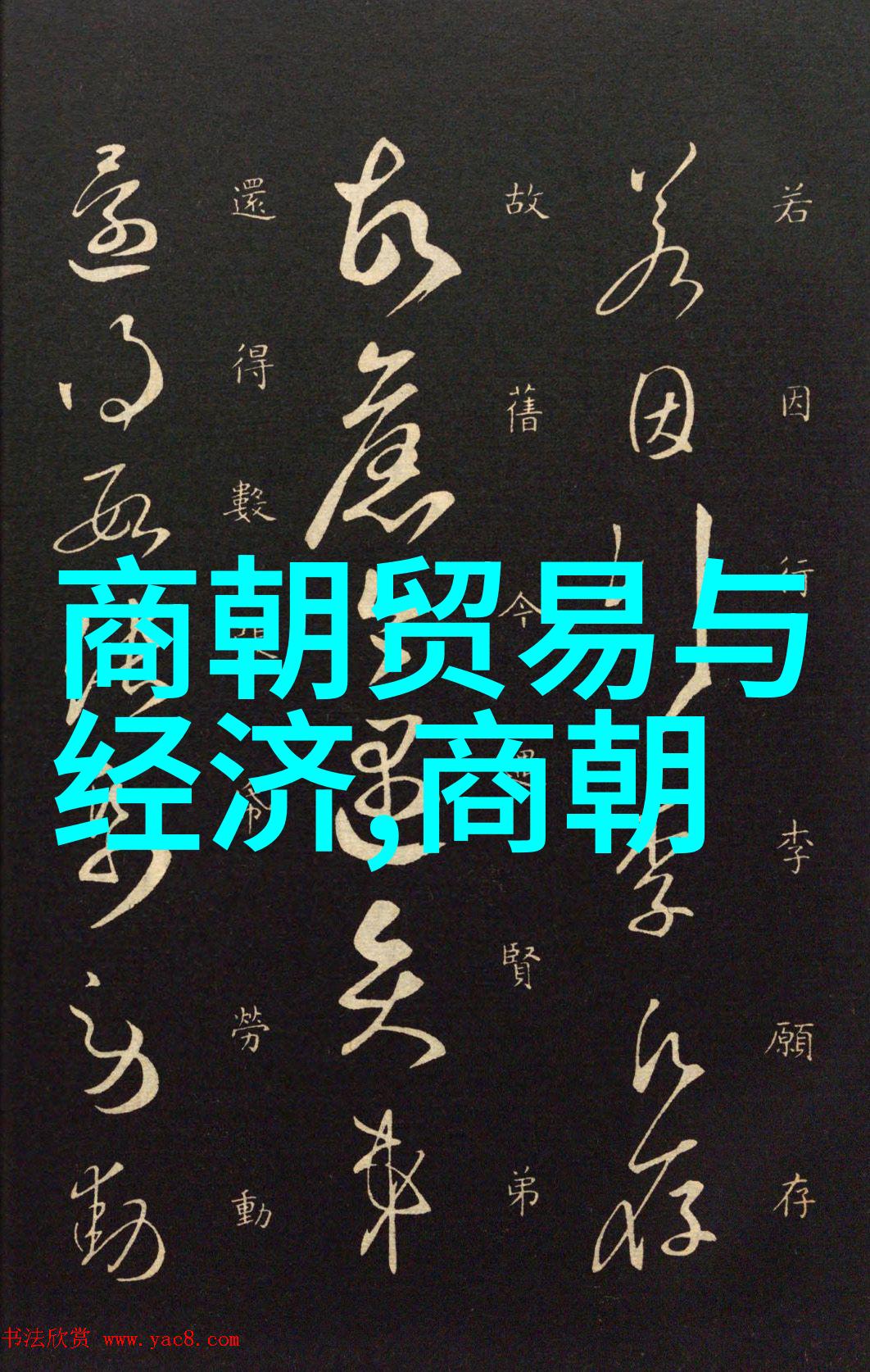 明朝电视剧我在大唐的日子揭秘那些走红的小金钏