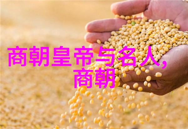 北宋的变革与繁荣从赵匡胤到靖康之变