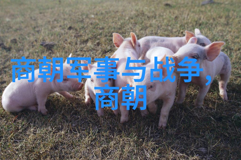 元朝历史典故精华中国古代帝王制度