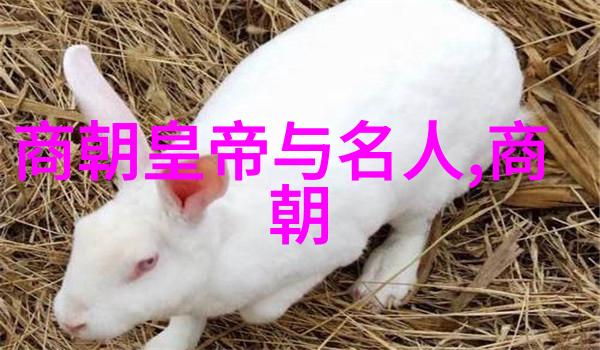 正史刘伯温结局我怎么知道他最后的日子是怎样的