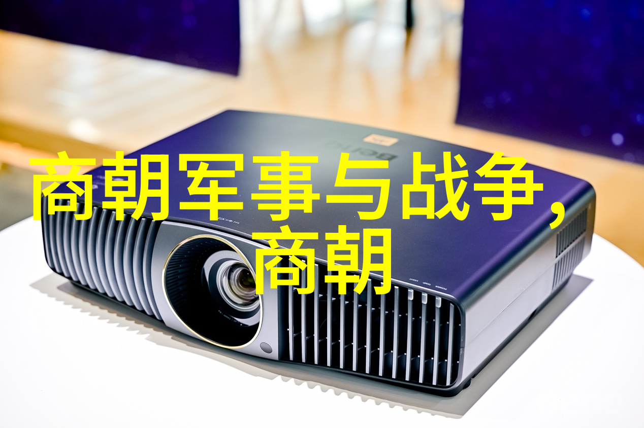 明朝 传奇-龙凤呈祥明朝的神话与奇迹