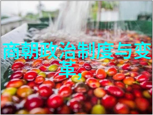 明朝的辉煌与挑战帝国之巅的沉浮史