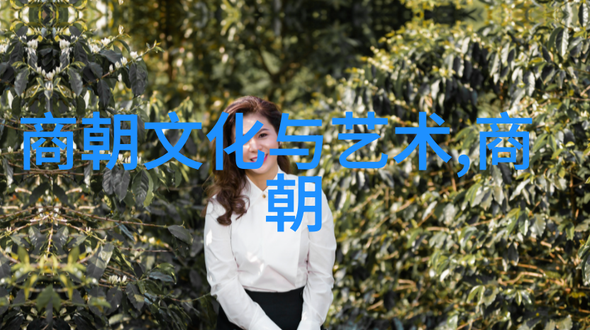 南宋与北宋的区分及其历史意义