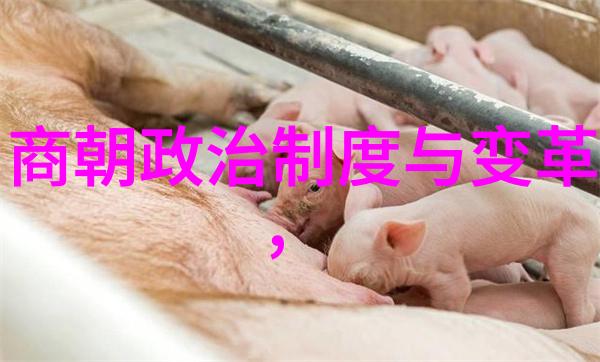 黄梅戏的婉约韵味潘璟琍筱玉琴旦行演员荟萃