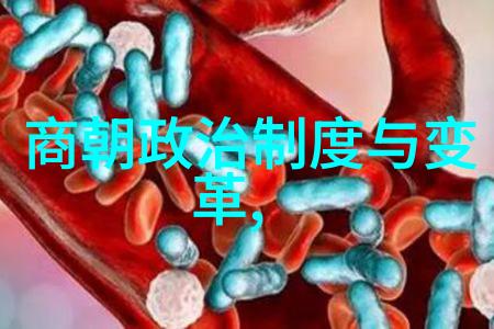 秦汉盛世中国历史最长王朝的辉煌成就