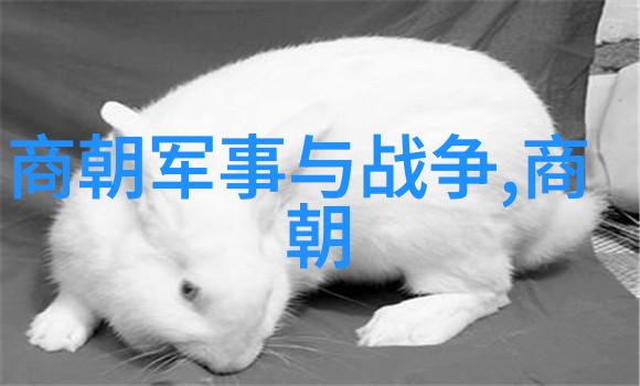 明朝帝王年号之谜时间的裂缝与权力的秘密