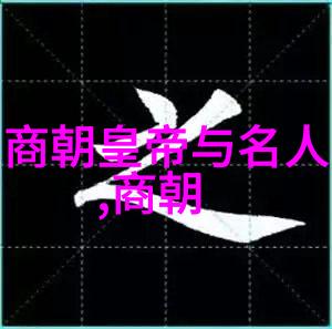 辽金史实考证与正史编纂之谜辽金历史的遗漏与历史记载的选择