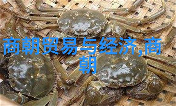 明朝倒数计时一场诡异的舞会与帝国的末日