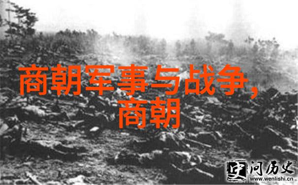 万历晚期的大规模改革与国家危机