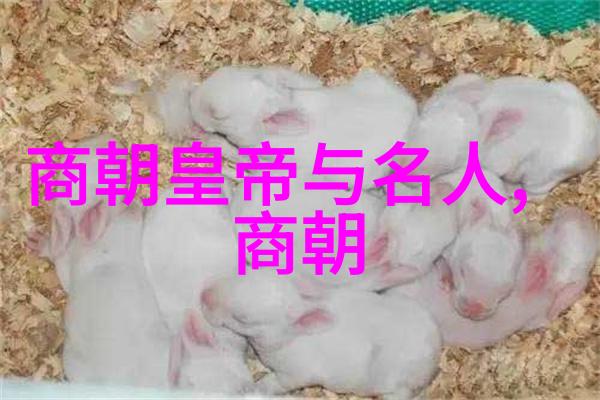 从草原到京城一个家族如何决定未来Nuurhaci and his decision not to p